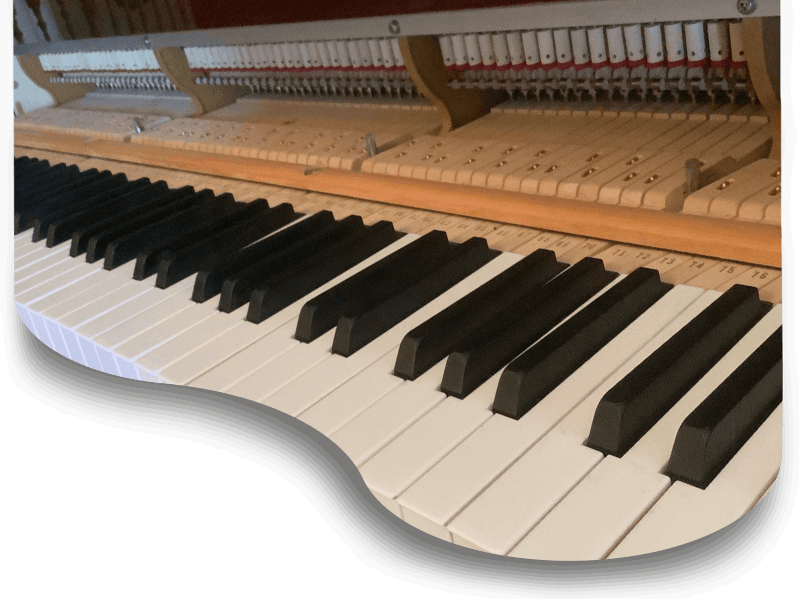 dolce_piano_service_voicing_tuning_hammer_replacement_hoorbod