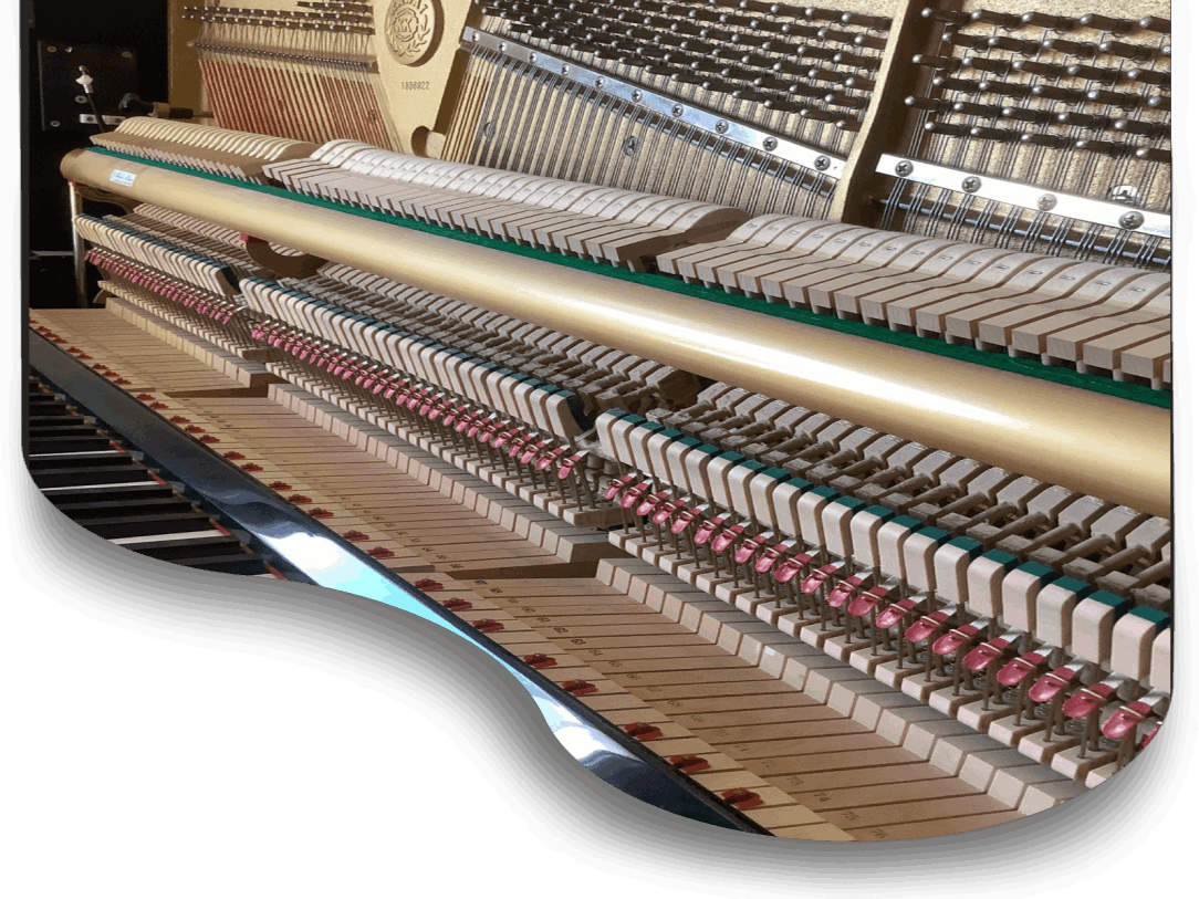 dolce_piano_service_voicing_tuning_action_regulation