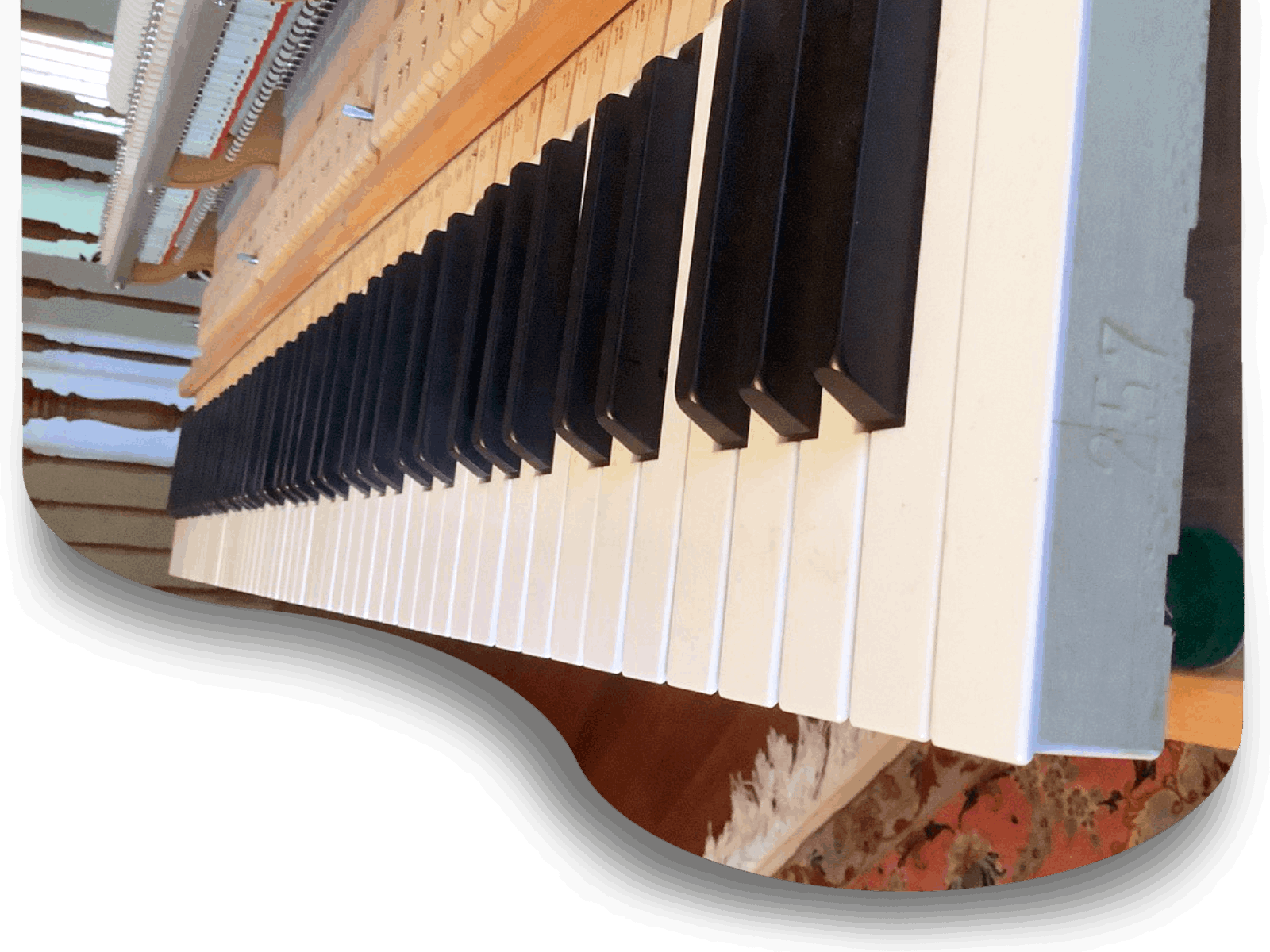 dolce_piano_service_voicing_tuning_hammer_replacement_hoorbod